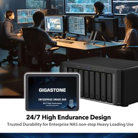 Gigastone Enterprise SSD 1TB NAS SSD Drive Cache (2-Pack) 24/7 Durable TLC High Endurance Business Server Data Center RAID Network Attached Storage 2.5" SATA Internal Solid State Hard Drives