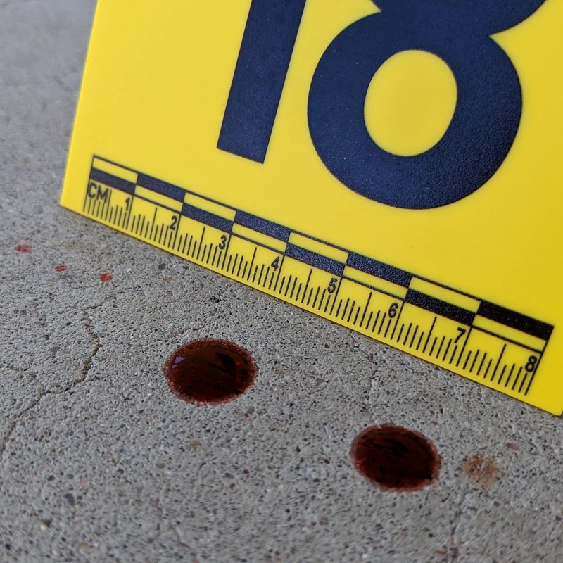 Crime Scene Evidence Tents with Scale, Numbered 1-20