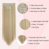 SEGOHAIR Hair Extensions Clip in Synthetic Fiber, Clip Hair Extensions
