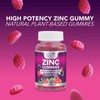 Zinc Supplement 50mg Gummies for Adults - Max Strength Skin