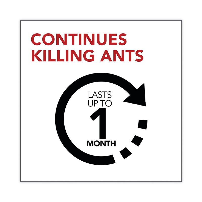 Raid Ant Gel, Kills Ants You Don't See, Continues Killing