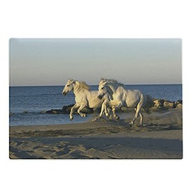 Lunarable Horses Running Cutting Board, Animal Running at Full Gallop Down the Beach on Seascape Background Print, Decorative Tempered Glass Cutting and Serving Board, Large Size, Multicolor