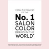 COLORCHARM Powder Hair Lightener | Up to 7 Levels of