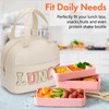 DIRGEE Lunch Bag for Women Insulated For Men PU leather