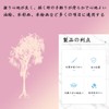 Mirhua 面相筆 勾線筆 (6本セット) 絵筆 習字 油絵 アクリル絵の具 細筆 水彩画