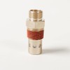 CAC-437-2 Air Compressor Check Valve,Brass 1/2 NPT & 1/2 CFPC