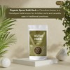 Organic Spree Kutki Herb 100gm (3.52oz) Picrorhiza Kurroa – Katuka