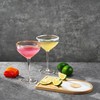 2-Pack Premium Margarita & Cocktail Flavored Salt Rimmers + Glasses