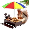 Squirrel Feeder with Umbrella, Metal Squirrel Feeders for Outside with