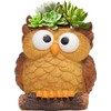Unique Owl Little Planter Pot, Cute Succulent Indoor Flower Pot,