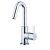 Danze D222530 Amalfi Single Handle Lavatory Faucet, Chrome