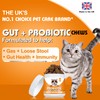 Daily Probiotics for Cats - 90 Salmon Flavored Soft Chews