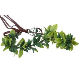 MOSTORY Elf Woodland Green Headband Evergreen Laurel Leaf Crown Headpiece Fairy Head Wreath for Princess Queen Goddess Cosplay Costumes Hair Accessory Wedding Bridal Birthday Festival