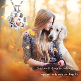 IOHUPCI 925 Sterling Silver Urn Necklace for Pet Ash - Memorial Ash Pendant Locket Cremation Jewelry for Dog Cat Keepsake Gift for Loss of Loved Furry Friend