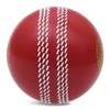 ADS SPORTS Wind Cricket Balls - Air Hollow Practice Balls
