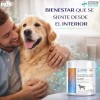 Ms Probiotico Para Perros 90 Gr