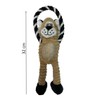 FSGPets Soft Plush Squeaky Lion Dog Toy, Interactive Puppy Training,