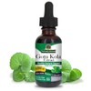 Natural's Answer GotuKola Extract, Gluten-Free, Alcoohol-Free, 30 ml