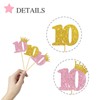 MonMon & Craft 10th Birthday Cupcake Toppers/Children Girls 10th Birthday