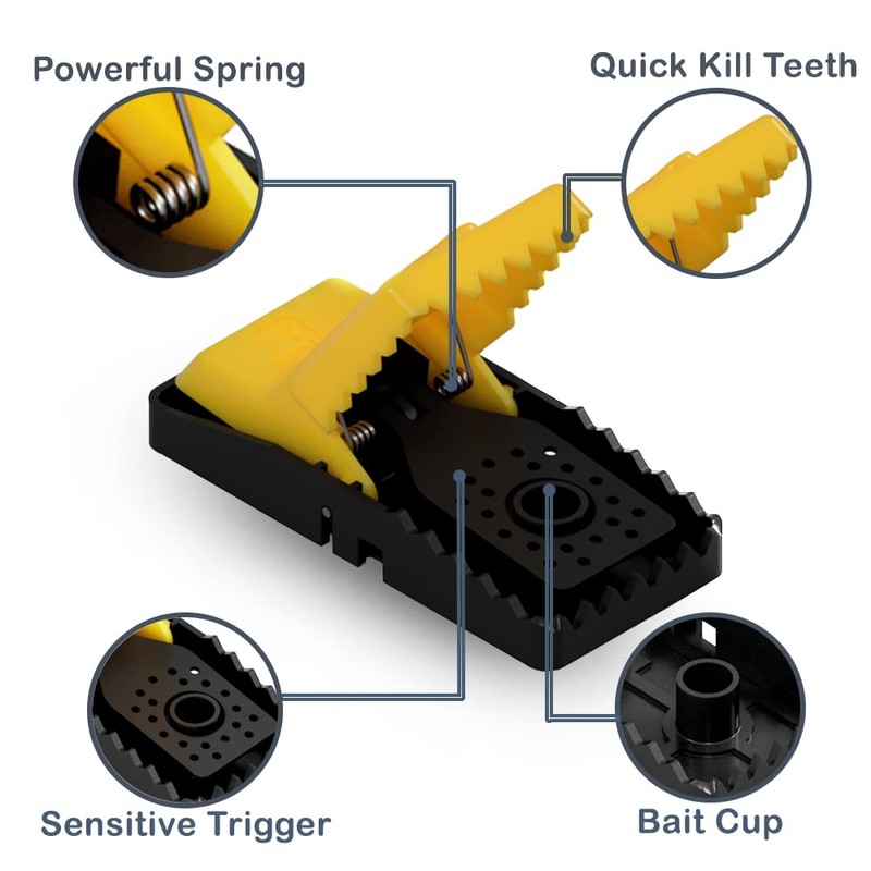 RinneTraps| 12 Pack | Snap N Trap | Mouse Trap