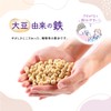 Gentle Ferritin Iron 30 Days, 60 Tablets, Iron Supplement, Iron