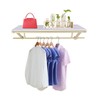 BANLICALI Clothes Rack with Top Shelf, 31.5 Inch Industrial Pipe
