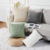 Yaertun Pack of 2 Super Soft Cozy Decorative Throw Pillow