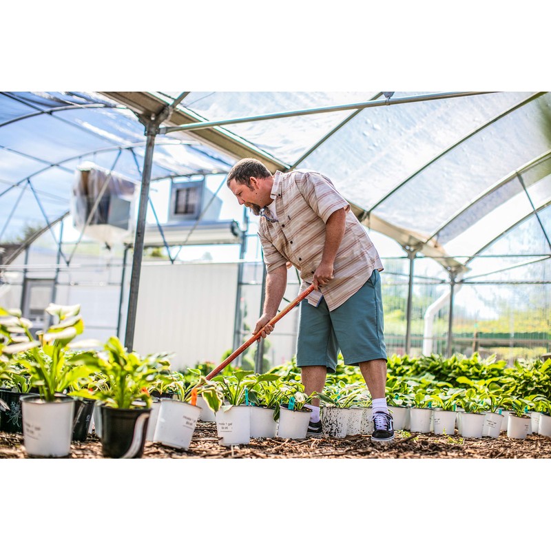 Dickies Men's Dri-tech Moisture Control Quarter Socks Multipack, White (6