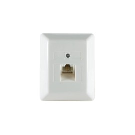 PROTEC.NET PUAE Junction Box 1xRJ45 8(8) AP cw