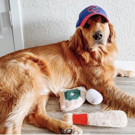 TONBO Cute Plush Dog Toys (Ball Park Combo)