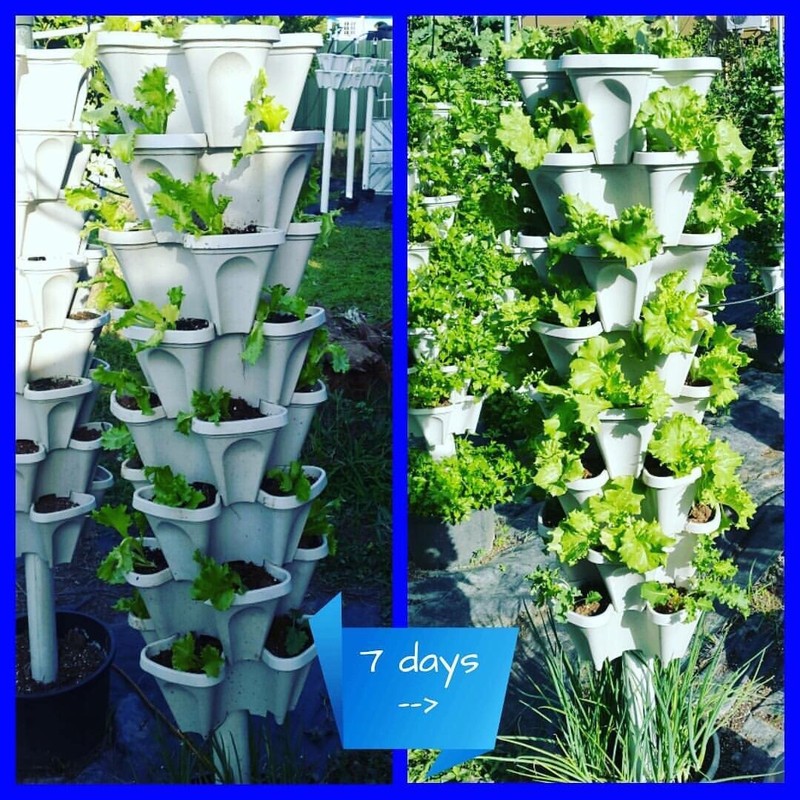 Vertical Gardening Planters (Tiffany Blue)