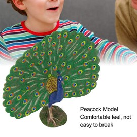 Simulation Peacock Model, Early Childhood Educational Toy Plastic Bird Model Peacock Model Decoration for Home Office Desktop Decoration Wild Animals Ornament (M-1434 Peacock)