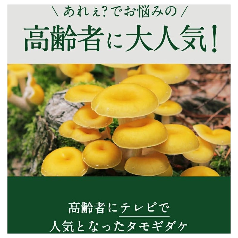 【カズレーザーと学ぶで話題】【国産】『エルゴチオネイン 60粒』【1か月分】【タモギタケ由来】
