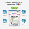 HEROSPORTS | Creatina Monohidratada Creapure® 1kg. 100% Pura. Solo 1