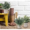 Lemonfilter Set Of 5 Mini Potted Artificial Plants Fake Small