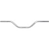 Thrashin Supply 1" Handlebar (Mid-Bend) (Chrome)