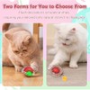 DWYYWSM Interactive Cat Ball Toys, Electric Pet Toy with Plush