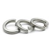 Hippo Hardware M8 (8mm) Spring Washers Square Coil Lock Marine