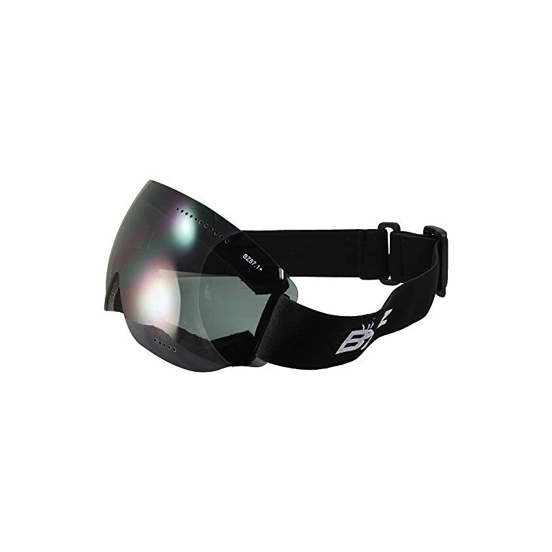 Birdz Eyewear Thrush Sport Snowboarding Skydiving Motorcycle Riding Goggles 2