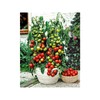 Seeds Indoor Tomato 20 Seeds for Planting Cherry Tomatoes Dwarf