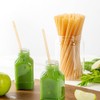Restaurantware-Basic Nature 8.3 Inch Disposable Straws, 100 Sustainable Straws -