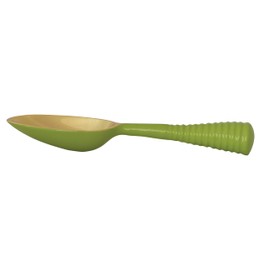 Creative Co-Op Enameled Aluminum Scoop with Ribbed Handle, Gold Finish and Green