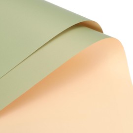 MECCANIXITY 20 Pcs Double Sided Color Flower Wrapping Paper Yellow-Green+Champagne 22.8"x22.8" Waterproof for Florist Bouquet Supplies, DIY Crafts, Gift Box Packaging