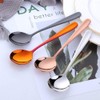 Bisda Curry Spoon, Soup Spoon, Dinner Spoon, 8 Colors, Set