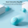 Smart Rolling Ball USB Rechargeable Quiet Relieve Boredom Interactive Cat