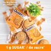 Quest Nutrition Quest Nutrition Peanut Butter Protein Cookie, High Protein,