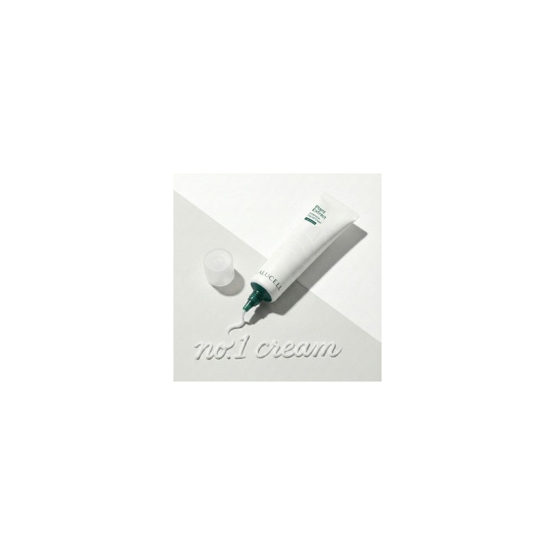 Plant Extract Intensive Facial Cream / 플랜트 익스트랙트 인텐시브 페이셜