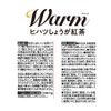 三井農林 日東紅茶 Warm(ウォーム)ヒハツしょうが紅茶 8本×4個