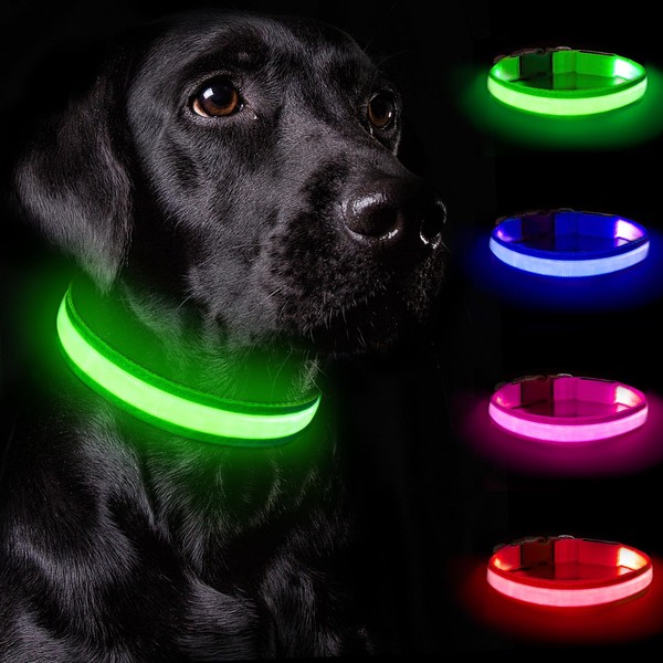 Nepfaivy Light Collar Dog USB Rechargeable - Dog Collar Luminous