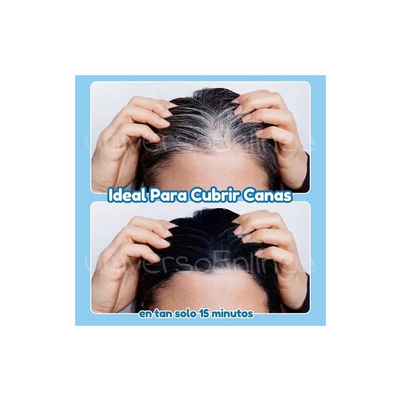 Shampoo Tinte Instantáneo 15min Cubre Canas Jengibre 12pz F